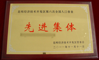 人口普查技术业务总结_人口普查