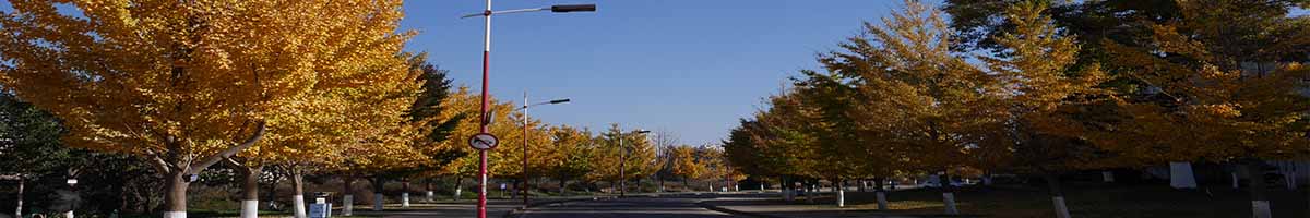 神偷奶爸1免费观看国语